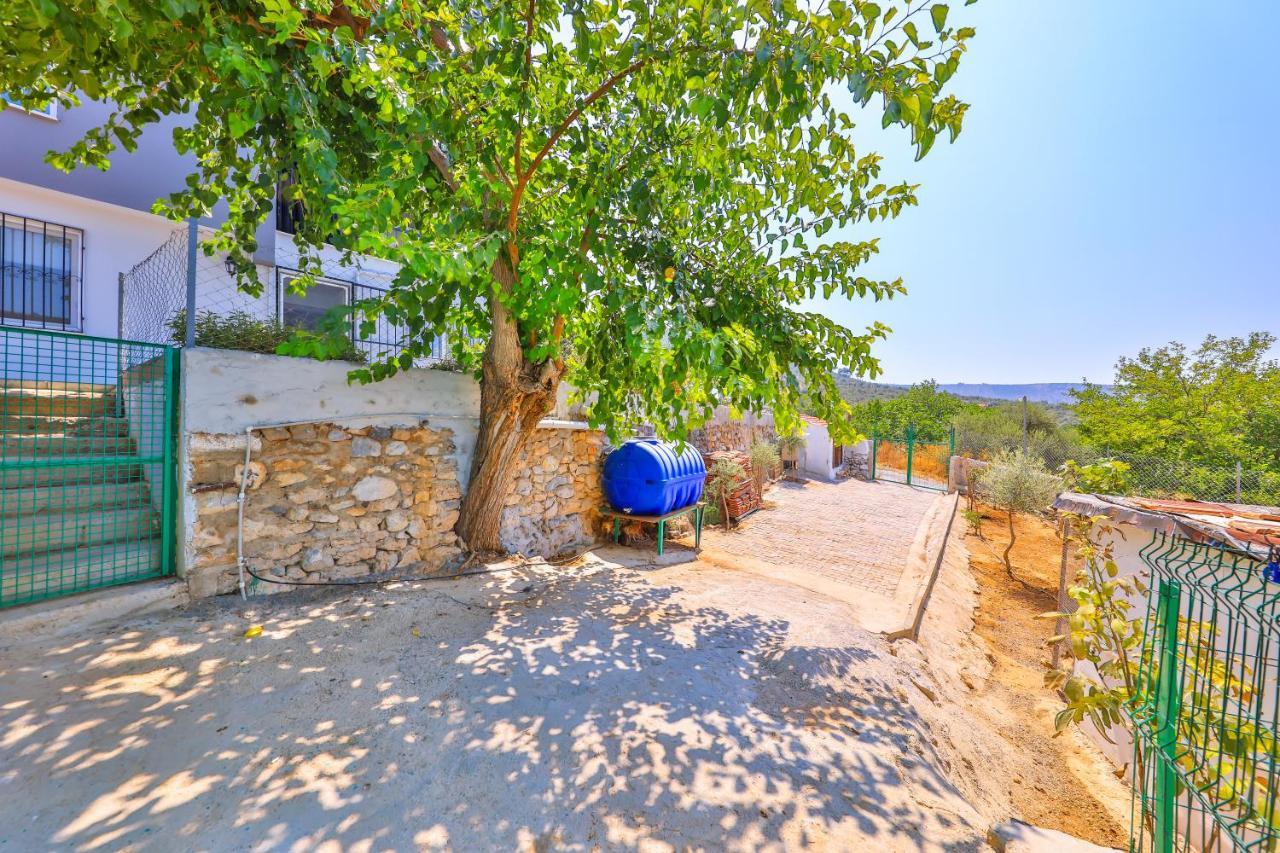 Agach Aparts-Savran Milas Εξωτερικό φωτογραφία